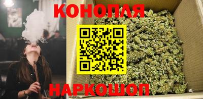 крисы Будённовск