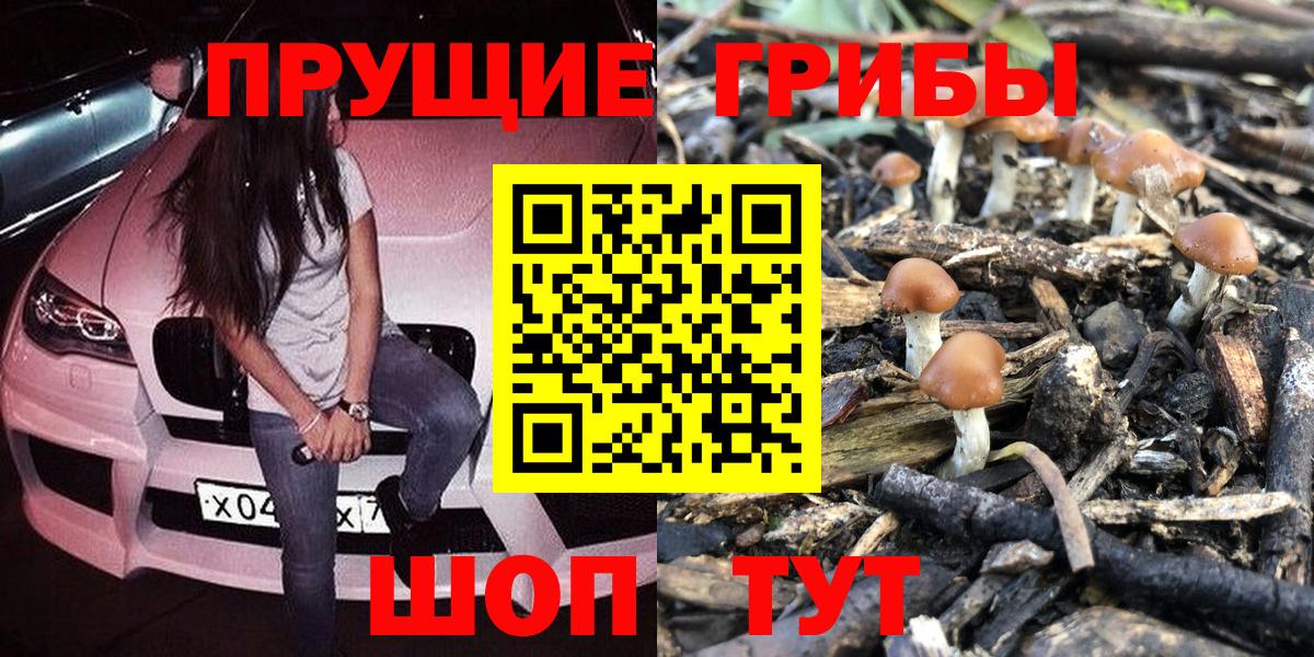 Ревда  Псилоцибиновые грибы Psilocybe  Вход с VPN  хочу   Псилоцибиновые грибы прущие грибы 